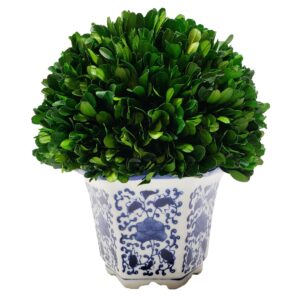 Preserved Boxwood Ball In Ceramic Pot